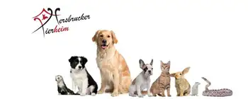 Tierheim - Website
