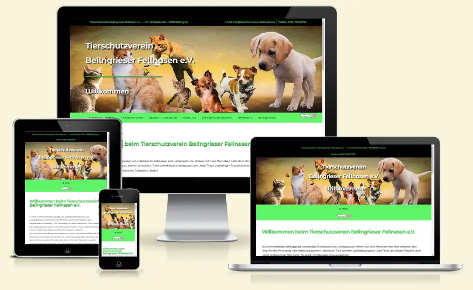 Website BIG
